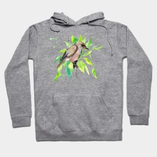 Garden warbler Hoodie